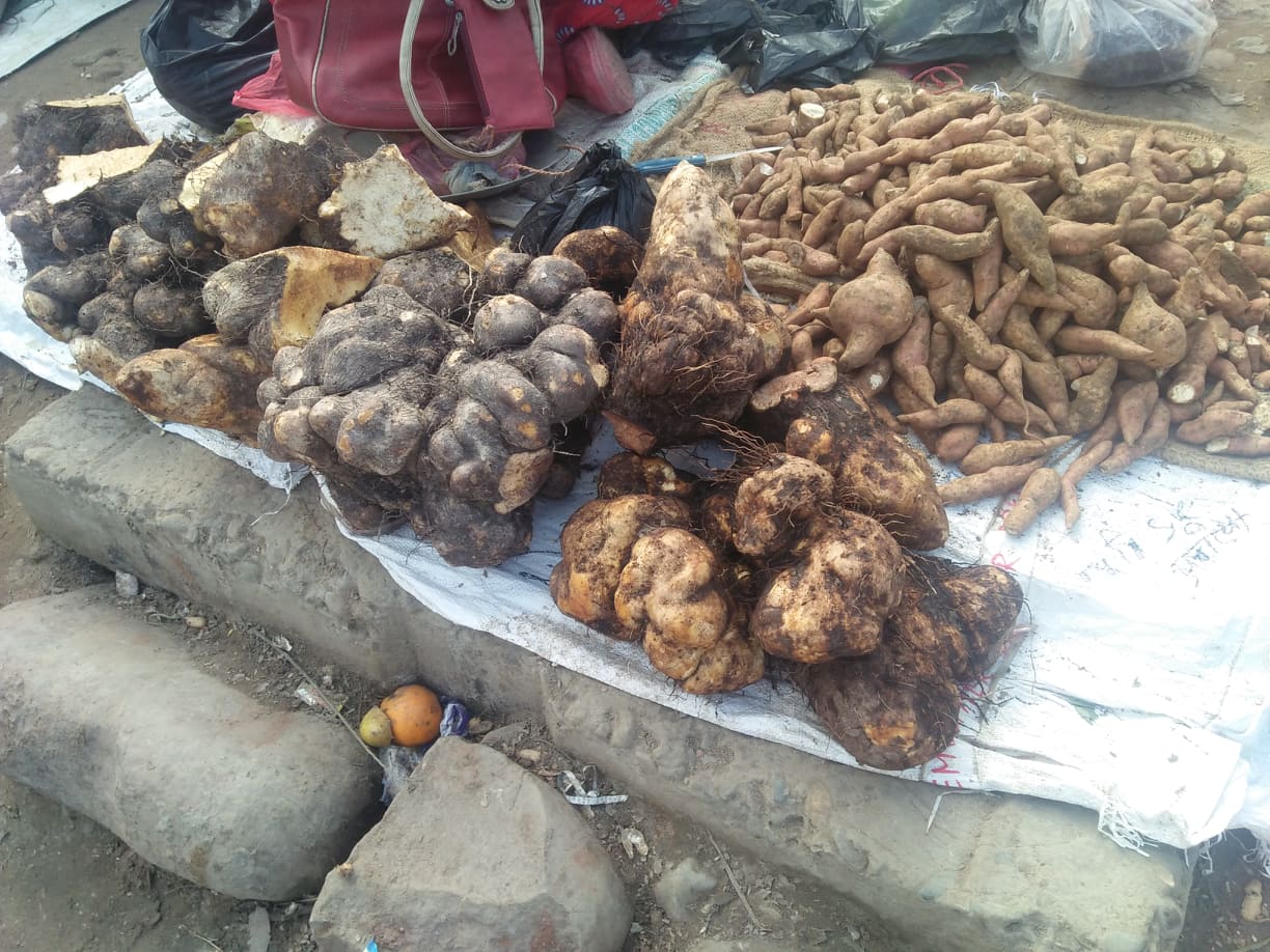 डोटीमा माघे संक्रान्तिका लागि तरुल किन्नेको भीड