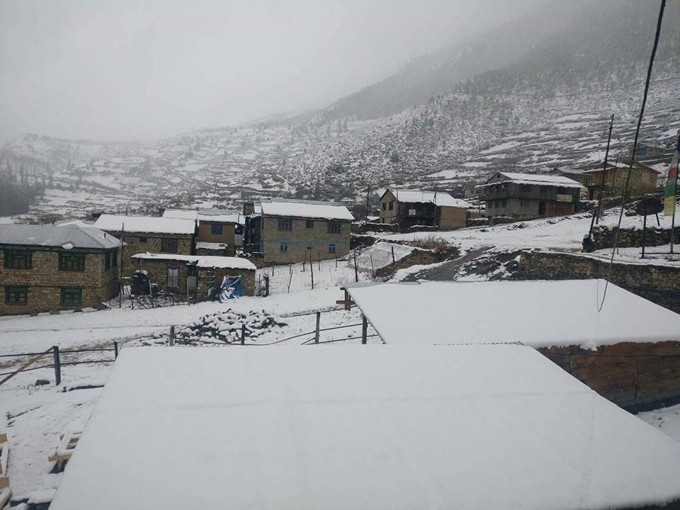 हुम्लाकाे सिमकोटमा चार फिटसम्म हिउँ