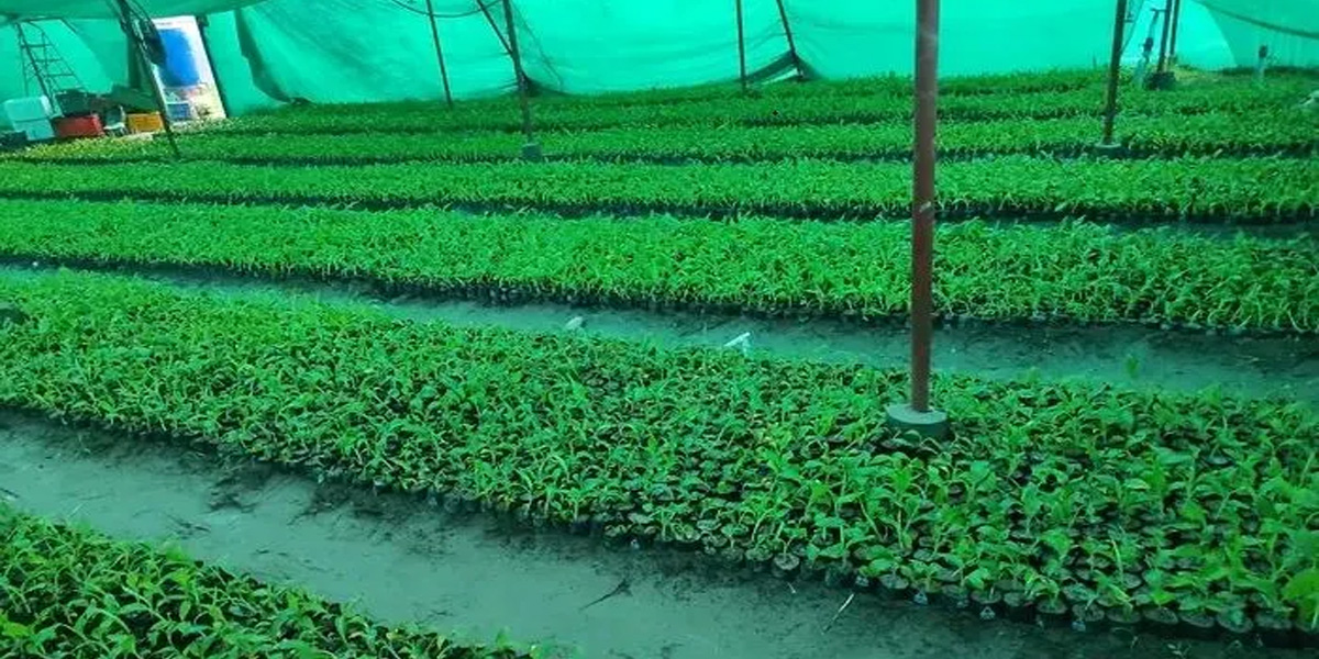 कृषि शिक्षा पढ्न विद्यार्थी उत्साहित