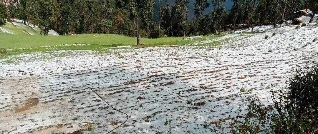 डोटीमा गएराती बाक्लो असीना