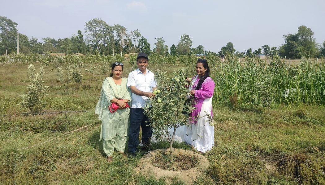 कैलालीमै फल्यो स्याउ
