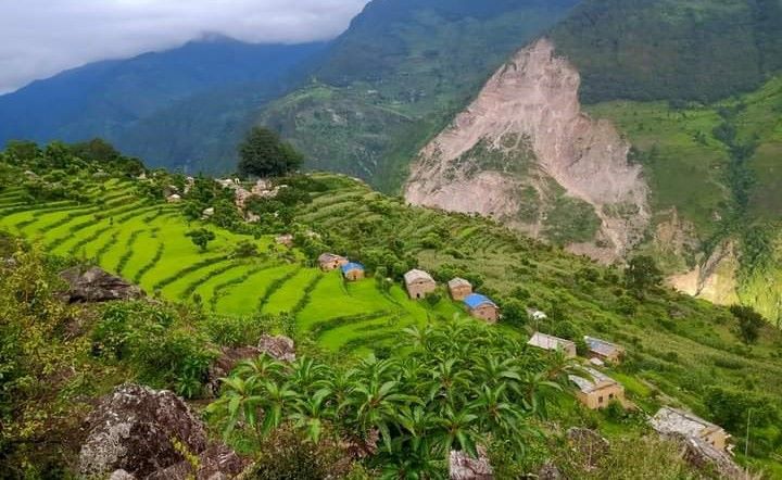 खेती लगाएर भारत लागे युवा, खाली हुँदै गाउँ