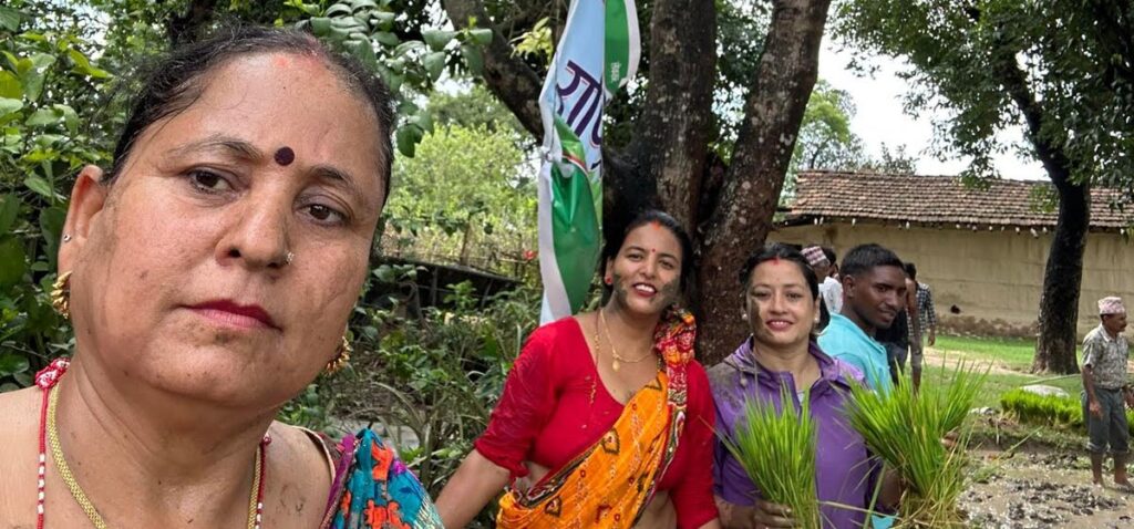 फेरीँदै संस्कृति,धान रोप्दा असारे गीतको सट्टा टिकटक