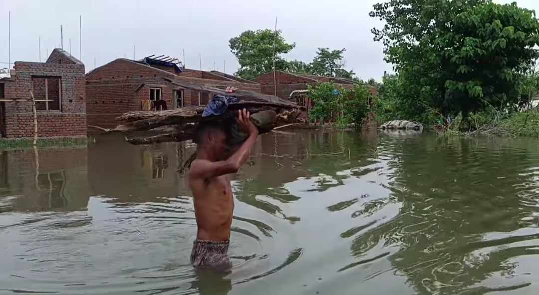 कैलालीमा ६ हजार हेक्टरको धानबाली बाढीले बगायो