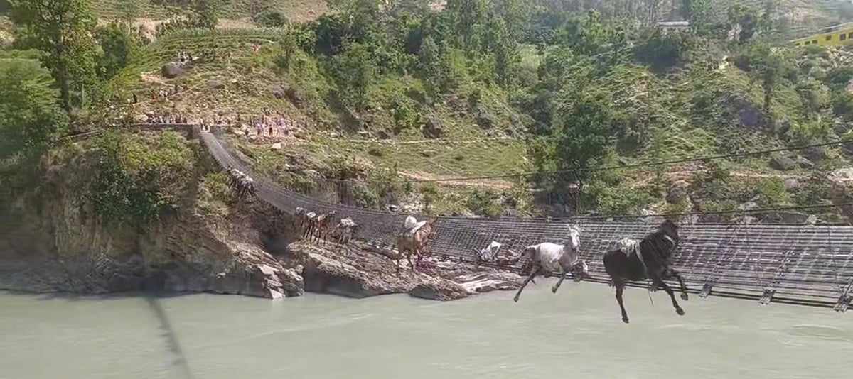खच्चड हिँडाउँदा लट्ठा चुँडिएको झोलुङ्गे पुलबाट आवागमन बन्द