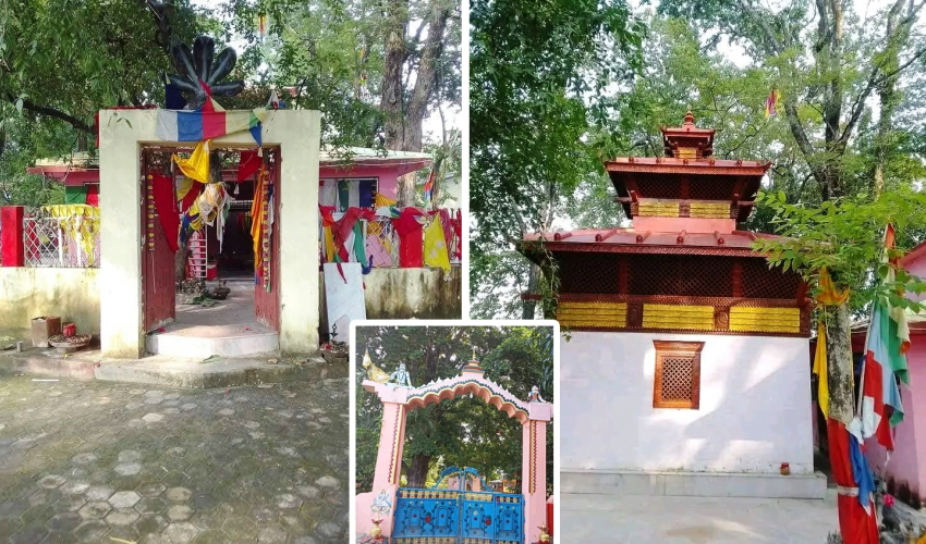 कञ्चनपुरको कृष्णपुरमा माघ २२ गते ग्वासी समैजी मेला लाग्ने