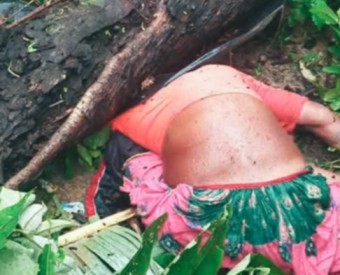 गौरीगंगामा रुख ढल्दा च्यापिएर महिलाको मृत्यु