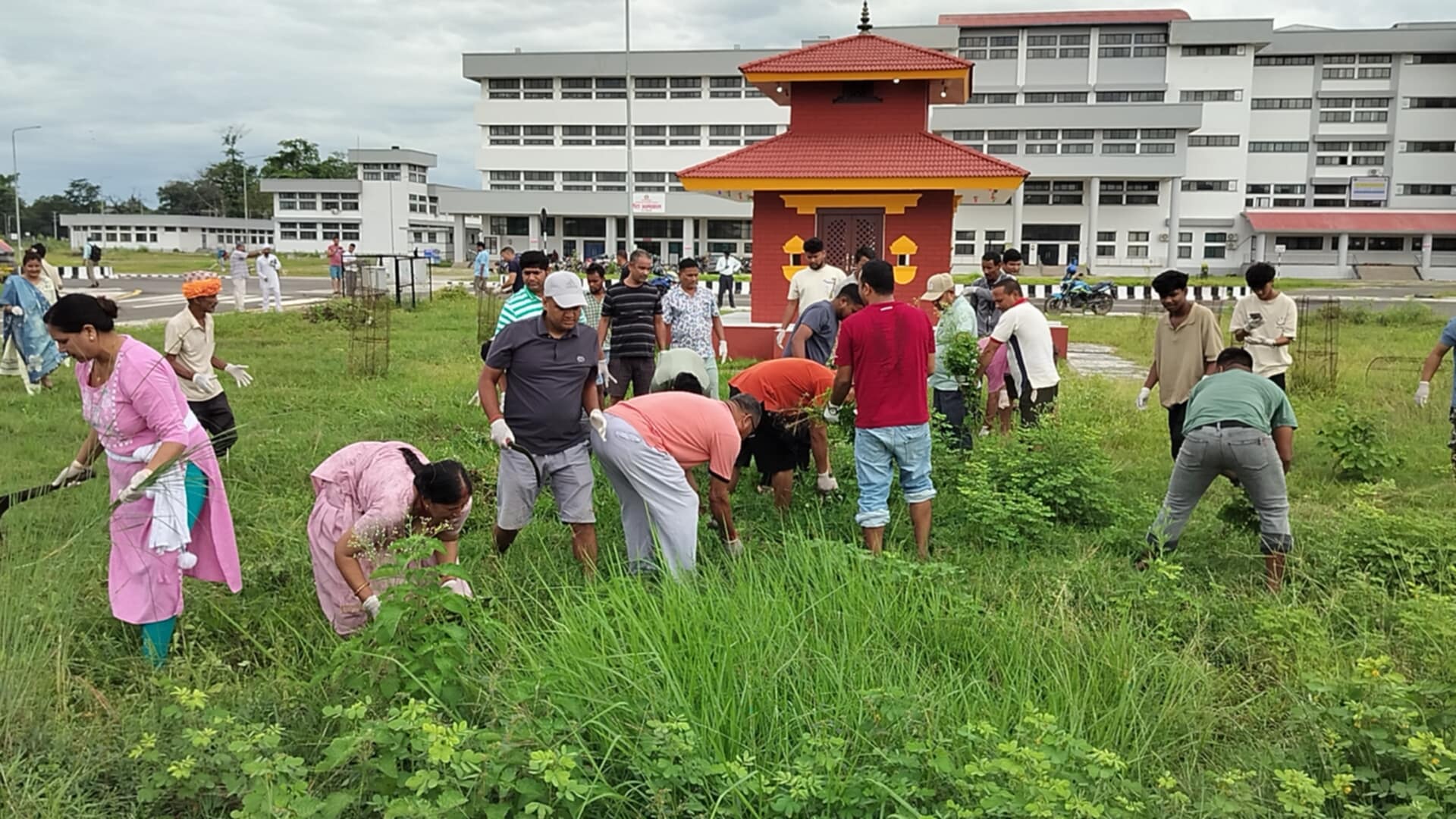 सङ्घर्ष समितिद्वारा विश्वविद्यालय परिसरमा झाडी सफाइ