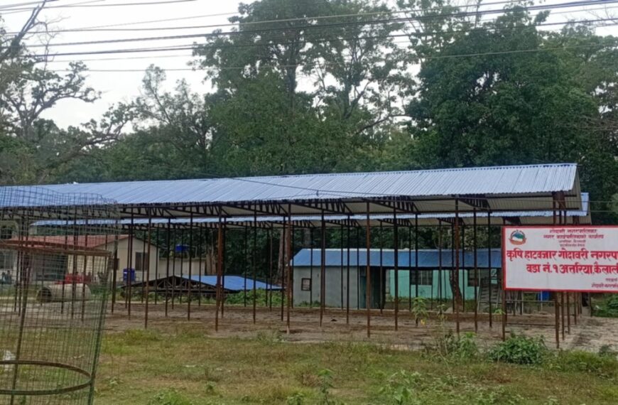 गोदावरीमा निर्मित कृषि हाटबजार अलपत्र