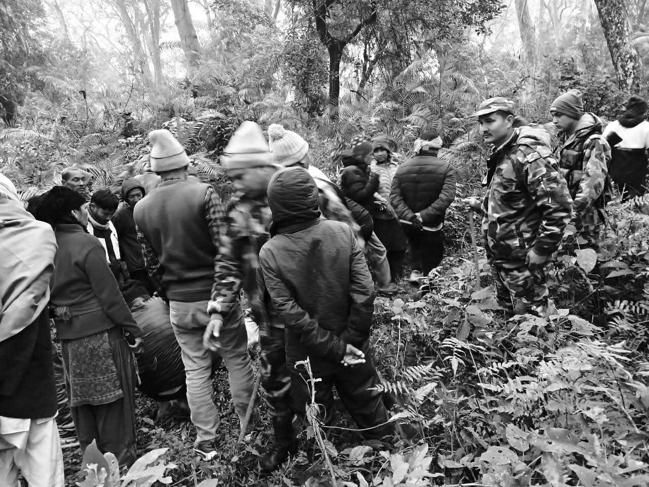 कंचनपुरका पुरुषको बाघको आक्रमणबाट मृत्यु