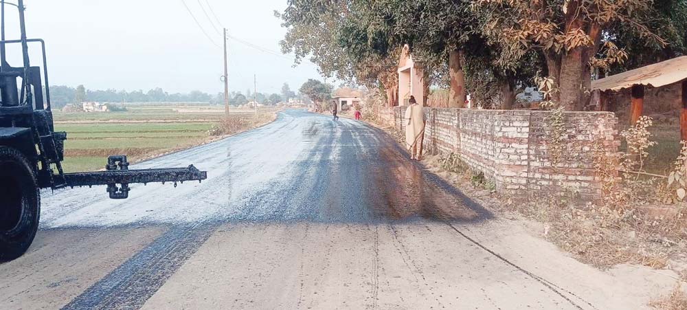 रुख कटान नहुँदा दैजीछेला औद्योगिक क्षेत्र निर्माण अलपत्र