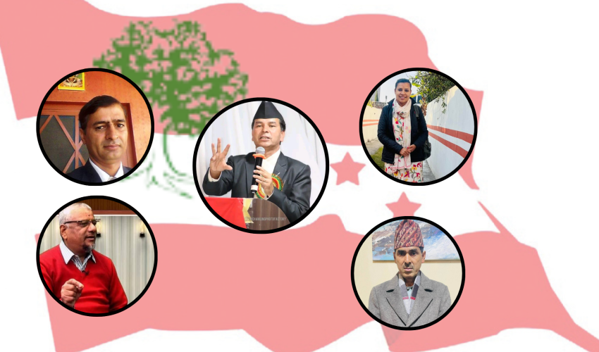 गगन थापाको नेतृत्वमा गठित नयाँ कमिटीमा सुदूरपश्चिमबाट ११ जना
