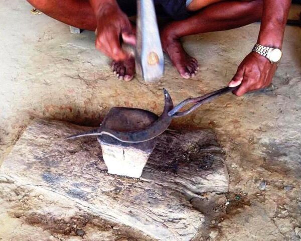आरन पेसालाई आयआर्जनको माध्यम बनाउँदै चक्रबहादुर