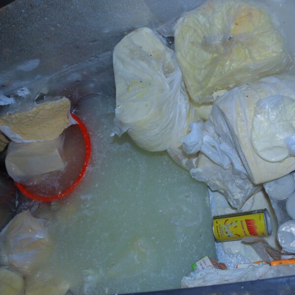 अत्तरियाको ओम डेरीबाट ६४ हजार बराबरको ढुसी लागेको पनिर जफत