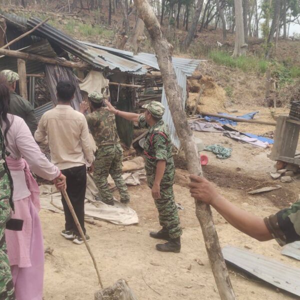 गोदावरी सामुदायिक वनको अतिक्रमित क्षेत्र खाली गरिँदै