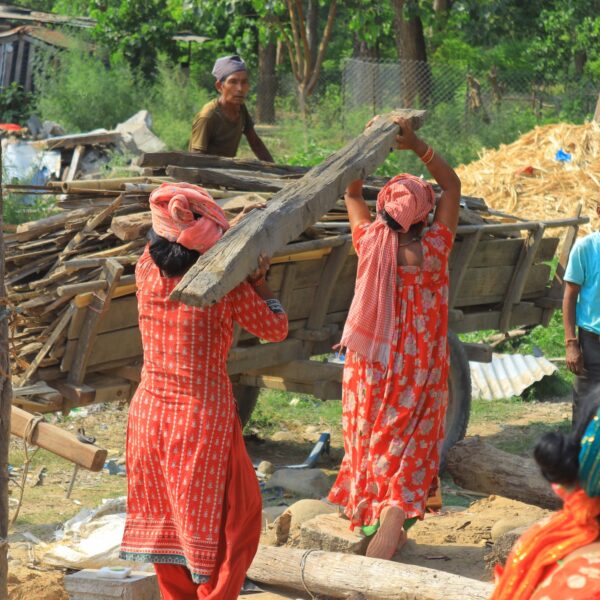 वन अतिक्रमण गरी राखिएका ४७ खोकाछाप्रा हटाइयो