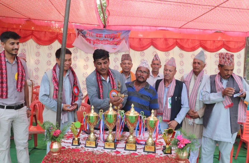 गोदावरी–४ मा वडास्तरीय खेलकुद प्रतियोगिता सुरु
