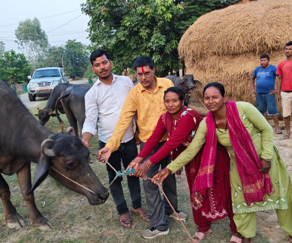 जीविकोपार्जनमा ‘भैँसीपालन कार्यक्रम’ सञ्चालन