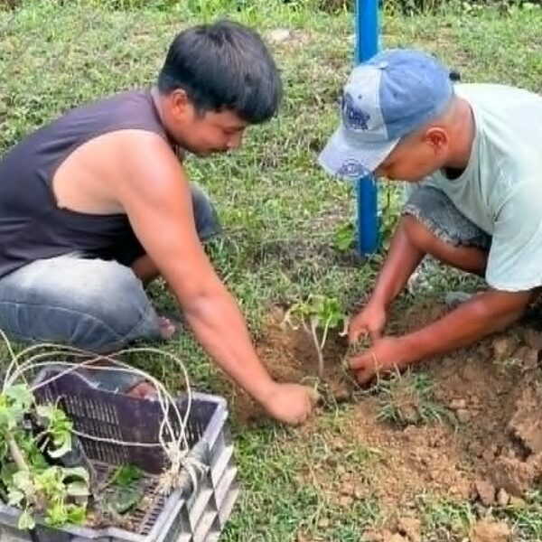 भल्काको शिवकुण्डमा स्थानीय युवाद्धारा वृक्षारोपण