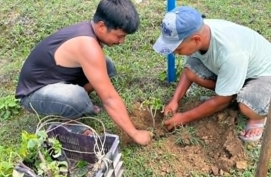 भल्काको शिवकुण्डमा स्थानीय युवाद्धारा वृक्षारोपण