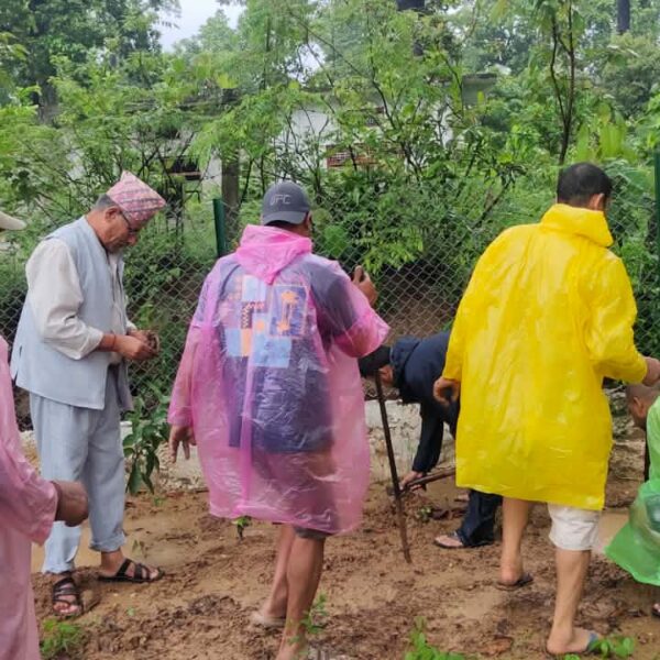 रास्वपा गोदावरीद्धारा नगरका धार्मीक तथा पर्यटकिय क्षेत्रहरुमा वृक्षरोपण