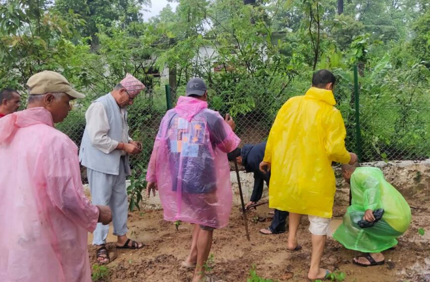रास्वपा गोदावरीद्धारा नगरका धार्मीक तथा पर्यटकिय क्षेत्रहरुमा वृक्षरोपण