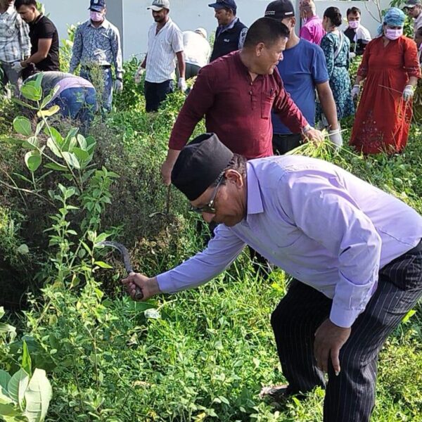 शहीद दशरथ चन्द स्वास्थ्य विज्ञान विश्वविद्यालय परिसरमा गोदावरी नगरपालिकाद्धारा सरसफाइ