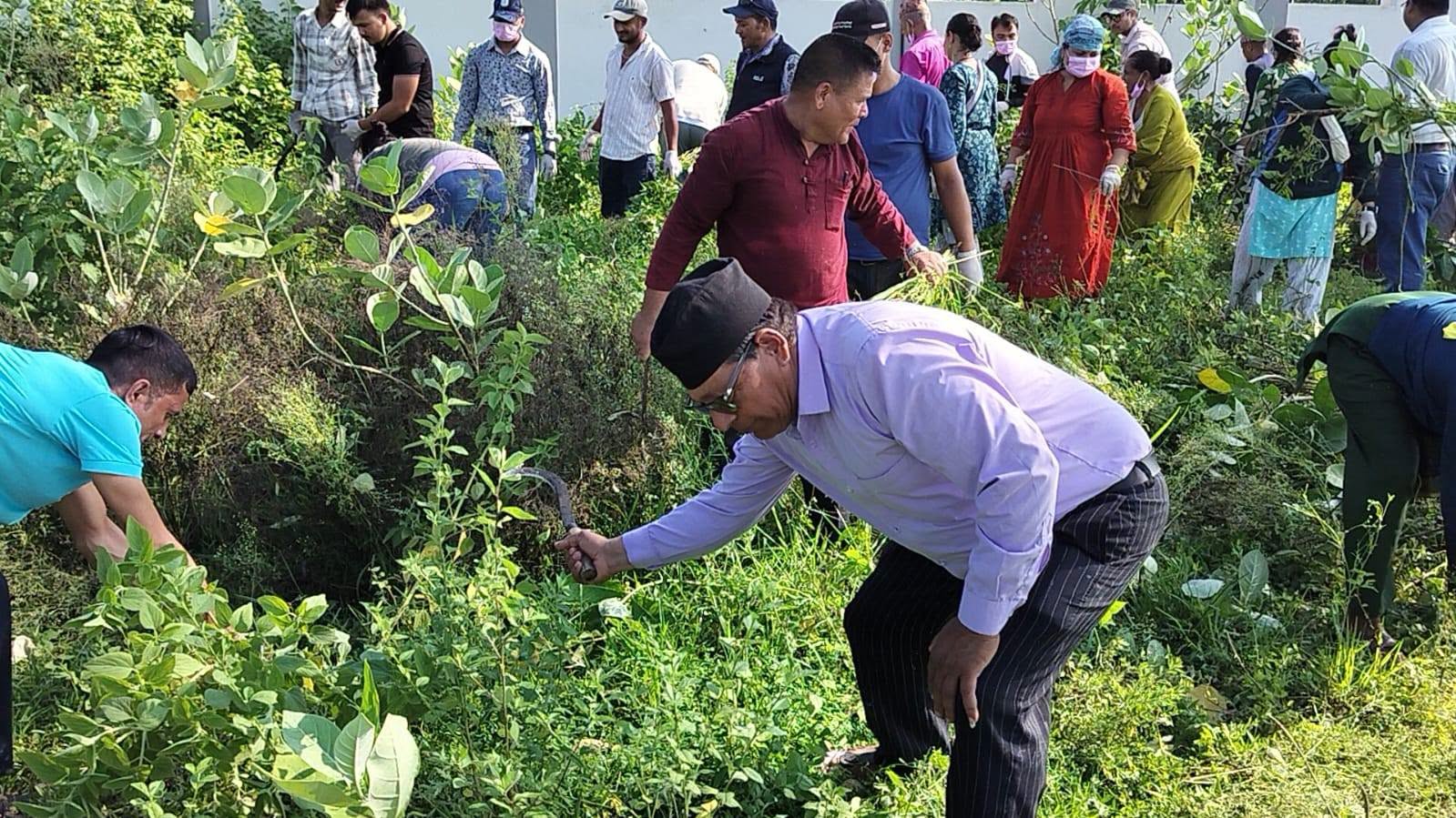 शहीद दशरथ चन्द स्वास्थ्य विज्ञान विश्वविद्यालय परिसरमा गोदावरी नगरपालिकाद्धारा सरसफाइ