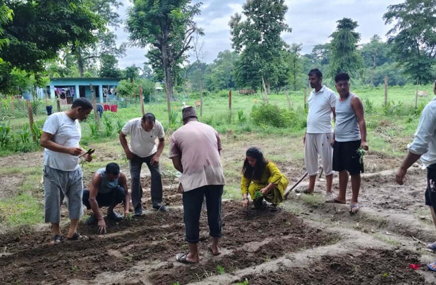 रास्वपा गोदावरीले रोप्यो ३५ सय बिरुवा