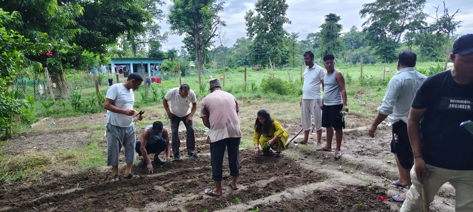 रास्वपा गोदावरीले रोप्यो ३५ सय बिरुवा