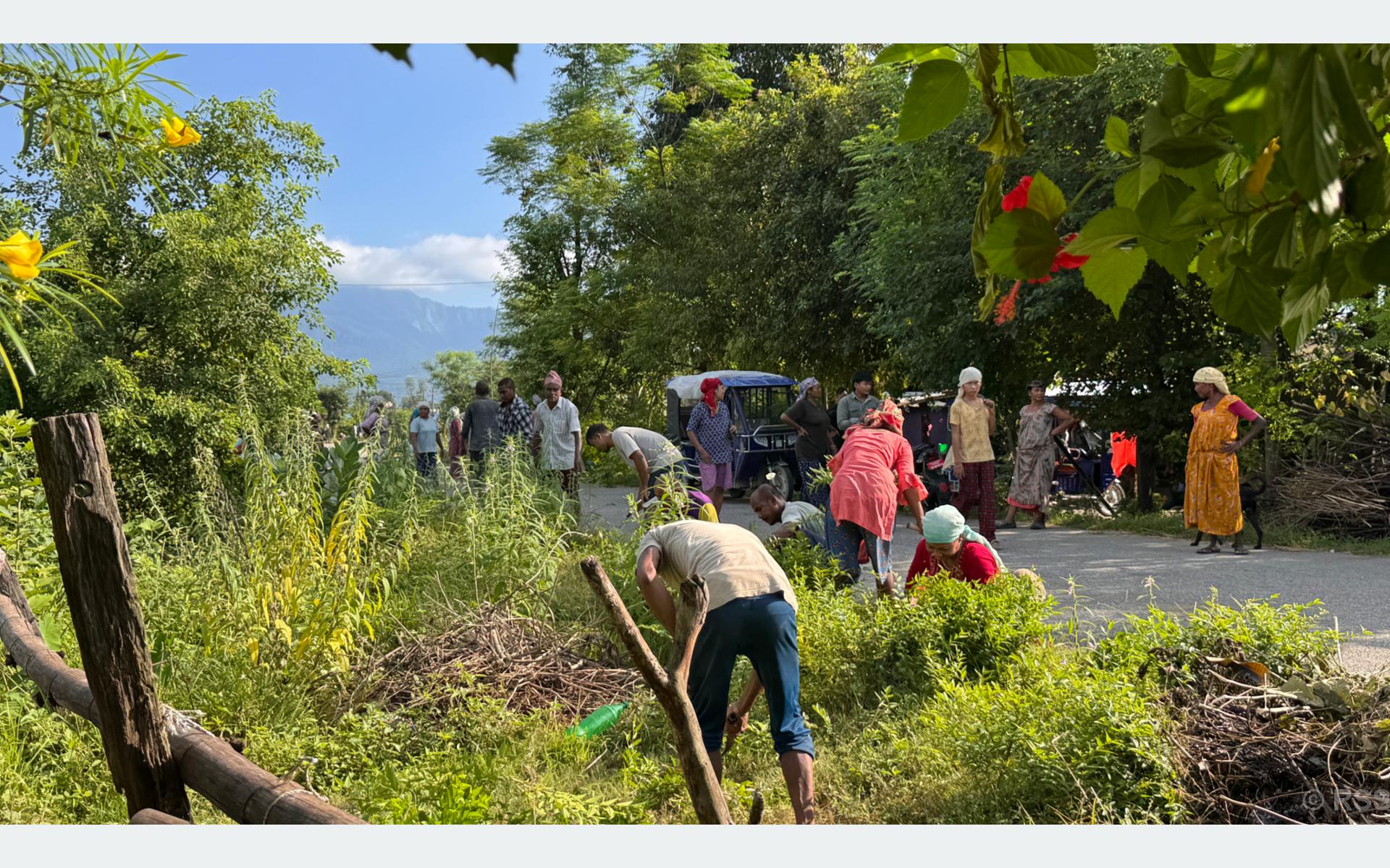 आफ्नो गाउँ सफा गर्न आफैँ जुटे युवा