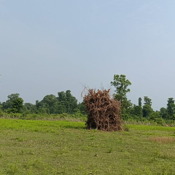 सुदूरपश्चिममा ‘बूढी पोल्ने’ पर्व मनाइँदै