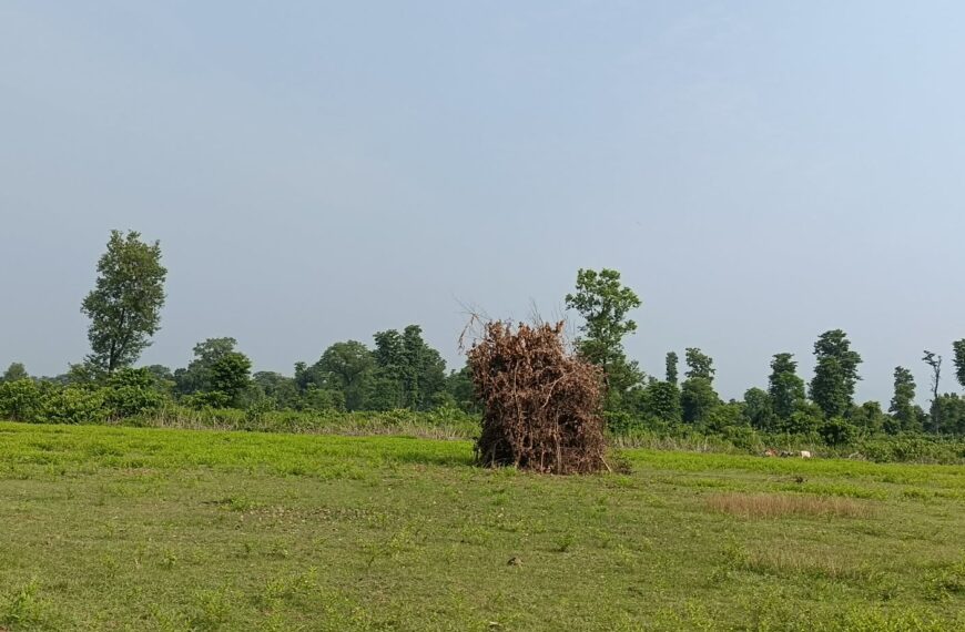सुदूरपश्चिममा ‘बूढी पोल्ने’ पर्व मनाइँदै