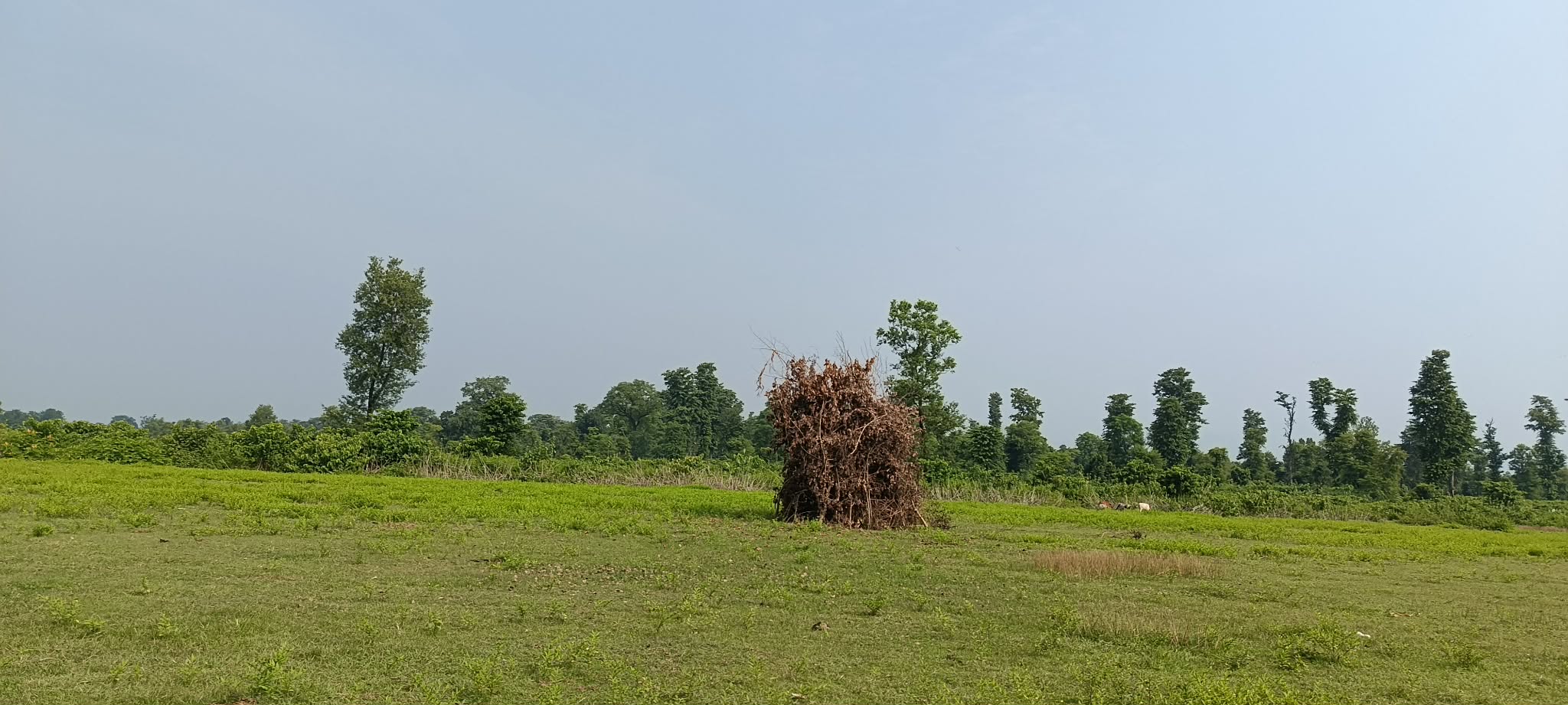 सुदूरपश्चिममा ‘बूढी पोल्ने’ पर्व मनाइँदै