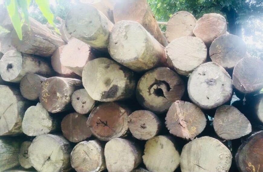कैलाली–कञ्चनपुरमा वन सीमा विवाद समाधान उन्मुख : काठ–दाउरा सङ्कलन रोकियो, वन अधिकृत बोहोराको सरुवा