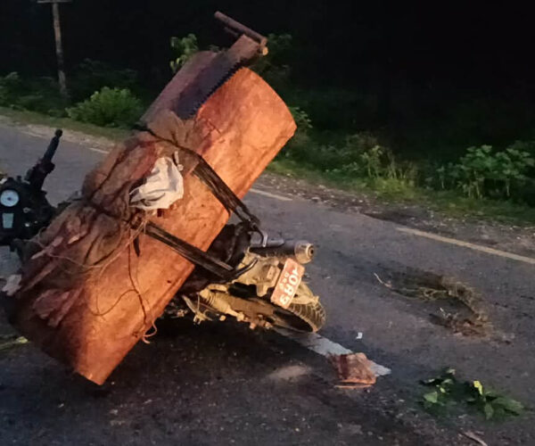 कैलालीमा सालको काठ र दुई मोटरसाइकलसहित एक जना पक्राउ, एक फरार