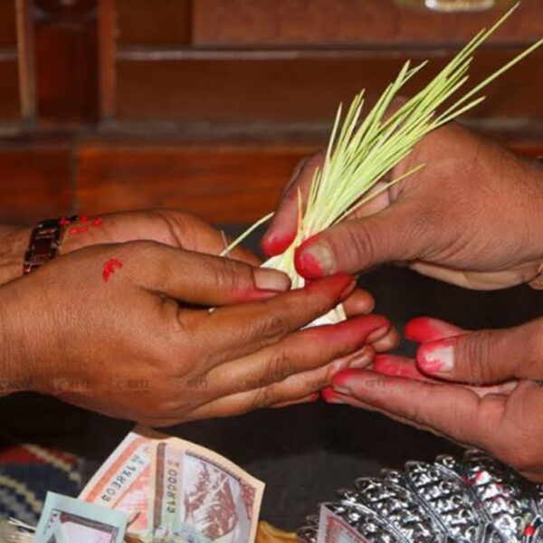 नवदुर्गाको प्रसादस्वरुप लगाइयो टीका र जमरा