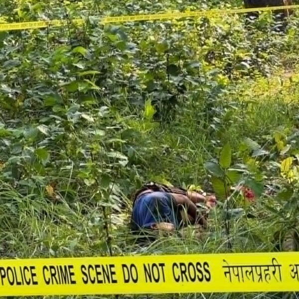 गौरीगंगामा बाघको आक्रमणबाट एक जनाको मृत्यु