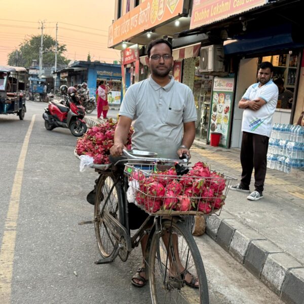 साइकलमा ‘ड्रागन फ्रुट’ बेचेर स्वरोजगारको सन्देश प्रवाह गर्दै उद्यमी पन्त