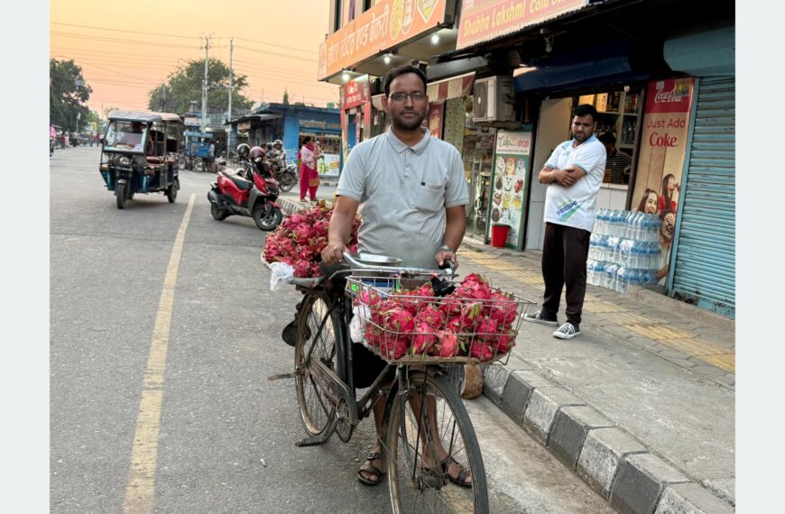 साइकलमा ‘ड्रागन फ्रुट’ बेचेर स्वरोजगारको सन्देश प्रवाह गर्दै उद्यमी पन्त