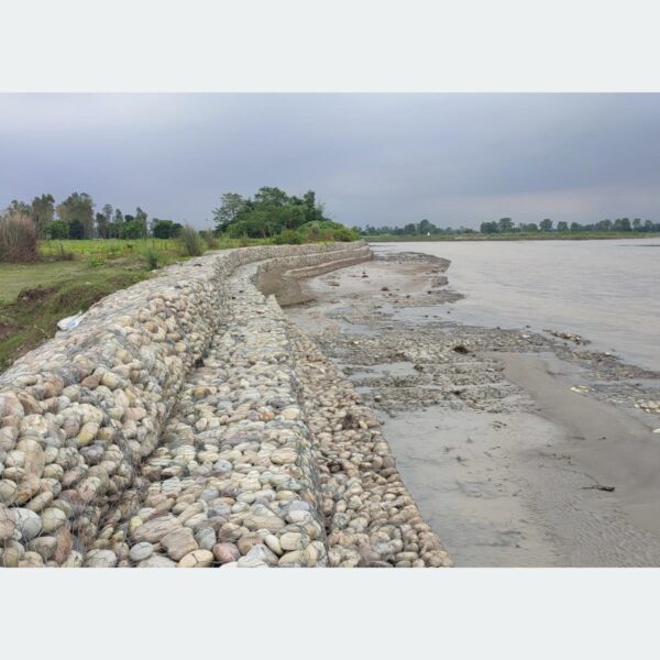 तटबन्धले सुरक्षित दोधारा चाँदनीको कुतियाकवर